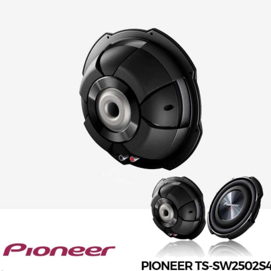 Loa Subwoofer Pioneer TS-SW2502S4