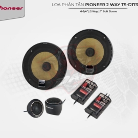 Loa phân tần Pioneer 2 way TS-D1730C